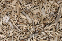 biomass boilers Byker